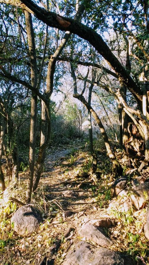 帕雷斯 Otters' Haunt Eco Retreat旅馆 外观 照片